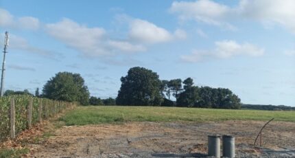 Grand'Landes Maison neuve - 1948134-10941annonce120240725CCHze.jpeg LMP Constructeur